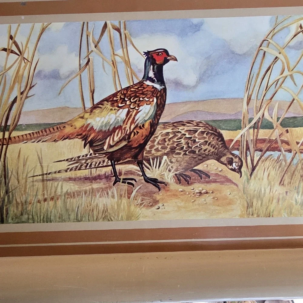 2 Vintage Pheasant Metal Serving Trays Birds Country Wild